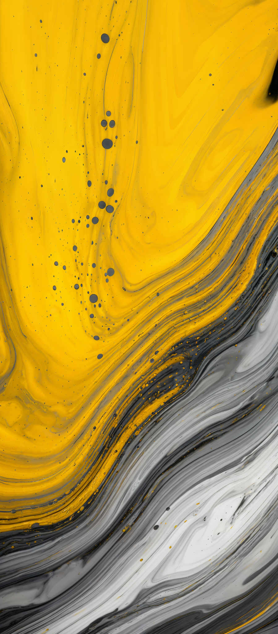 The image showcases a vibrant and dynamic interplay of colors. Dominating the scene is a bright yellow that appears to be swirling and flowing, reminiscent of fluid art or marbling techniques. This yellow is interspersed with darker shades of gray and black, creating a contrast that adds depth and dimension. Scattered throughout the image are small, dark speckles, possibly representing impurities or other elements within the fluid. The overall effect is both mesmerizing and abstract, evoking feelings of movement and fluidity.