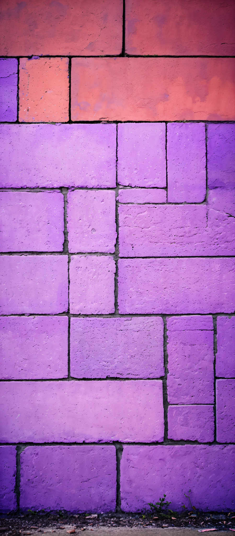 The image showcases a wall made up of rectangular bricks or blocks. The bricks are painted in two distinct colors: a shade of orange and a shimmering purple. The orange bricks form the upper section of the wall, while the purple bricks make up the lower section. The purple blocks have a slightly textured surface, and there are some gaps between them. At the bottom of the image, there's a section of ground with some small plants growing, and a few scattered leaves and debris.