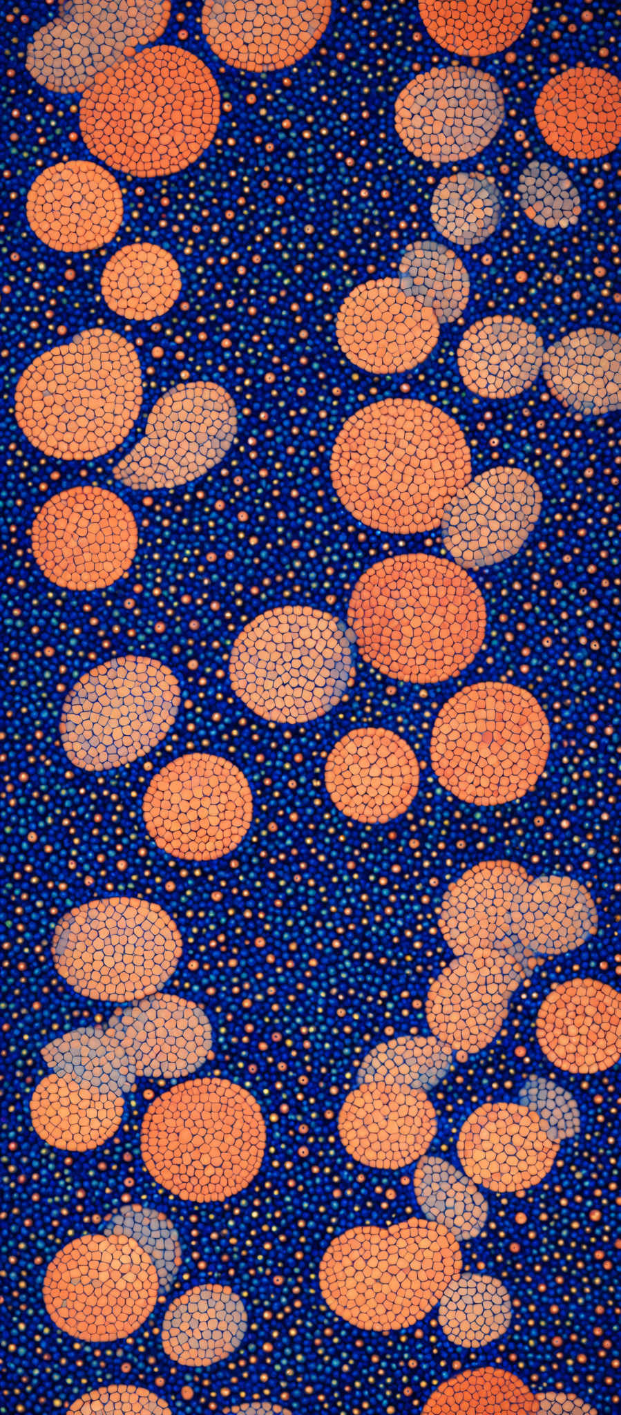 The image showcases a vibrant and intricate pattern. The dominant color is a deep blue, which forms the background. Over this blue, there are numerous overlapping circles of varying sizes. These circles are filled with a gradient of orange hues, transitioning from a light peach to a deeper orange. The circles are interspersed with smaller dots of various colors, adding depth and texture to the overall design.