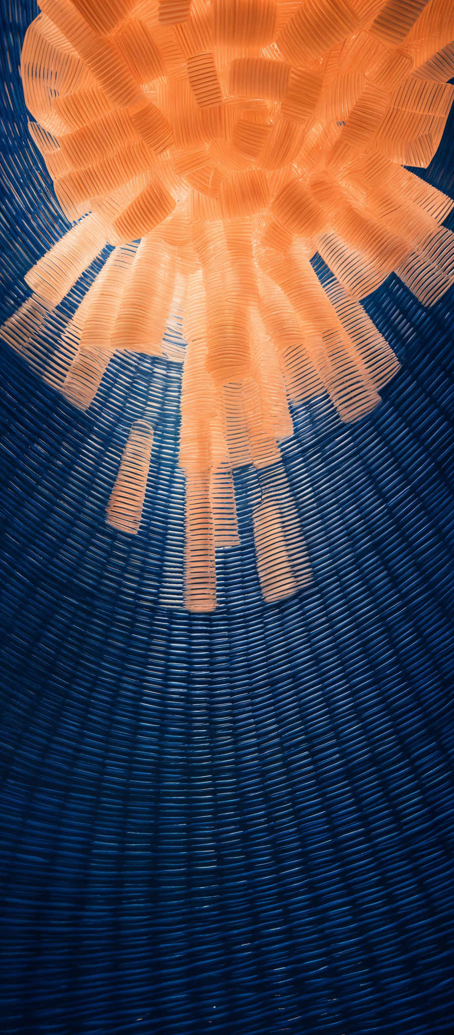 The image showcases a captivating interplay of colors and shapes. Dominating the top portion is a radiant burst of golden-orange hues, reminiscent of a sunburst or explosion. This is contrasted by the deep blue, almost navy, background that forms a circular pattern, almost like a ripple effect. The golden-yellow burst appears to be emanating from the center, with its rays dispersing outward in a radial manner. The entire composition gives a sense of depth and dimension, as if one is looking into a luminous, otherworldly space.