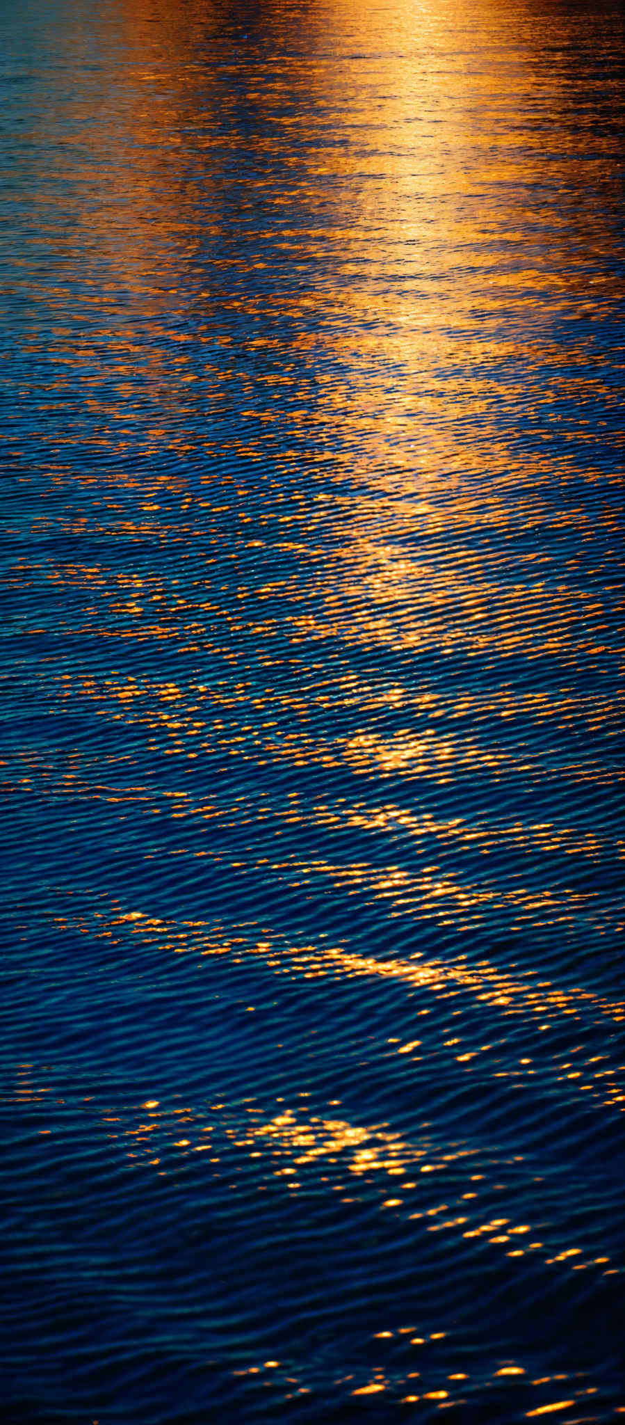 The image showcases a serene water body, possibly a lake or a calm sea, during what appears to be either dawn or dusk. The water reflects a golden hue, possibly from the sun, creating a shimmering pattern. The golden reflection is interspersed with deeper blue shades, indicating the depth of the water. The ripples on the water's surface add texture and movement to the scene.