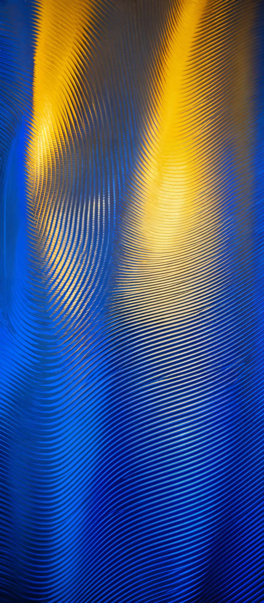 The image showcases a vibrant and dynamic pattern of intertwined lines. The predominant colors are deep blue and bright yellow. The blue forms a flowing, wavy pattern, while the yellow creates a contrasting, wave-like texture. The interplay of these colors and patterns gives the image a sense of movement and rhythm.