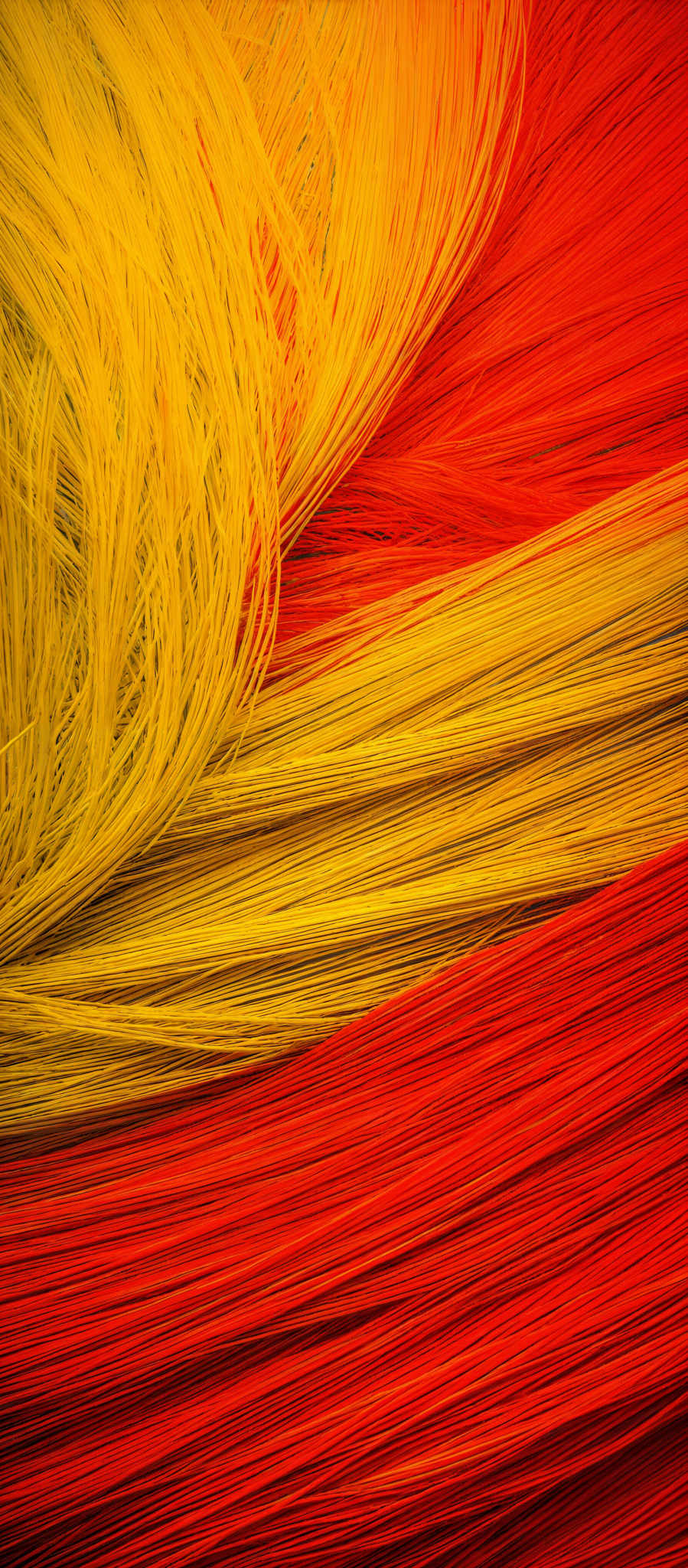 The image showcases a vibrant array of colors, primarily consisting of shades of red, orange, and yellow. The colors are presented in the form of wavy, thread-like structures that overlap and intertwine. The wires are densely packed, creating a visually rich texture. The overlapping patterns and the gradient of colors give the image a dynamic and flowing appearance.