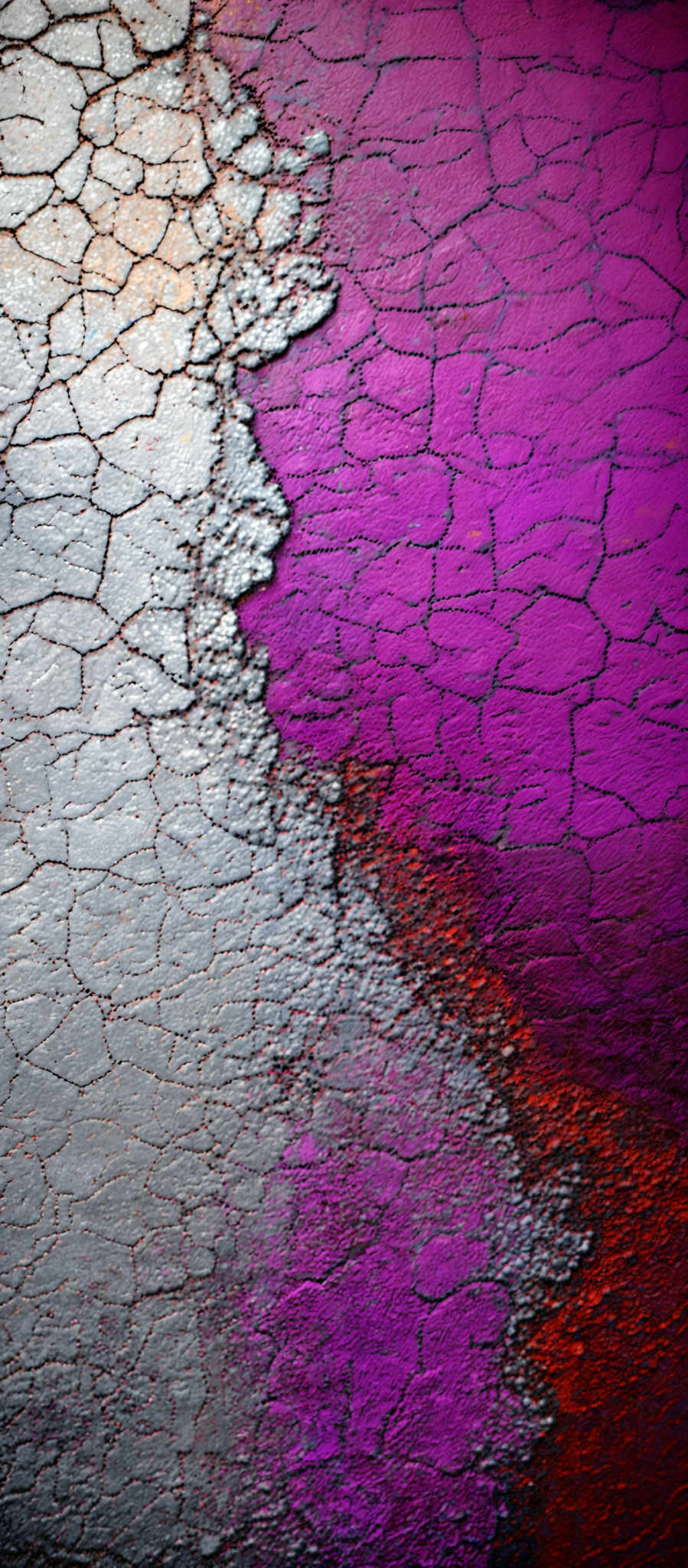 The image showcases a textured surface with a gradient of colors. On the left side, there's a pale grayish hue with cracked patterns resembling dried mud or parched earth. As we move towards the right, the color transitions to a vibrant purple, followed by a fiery red, and finally a deep black at the bottom. The cracked pattern continues throughout the image, giving it an appearance of drying or cracking paint.