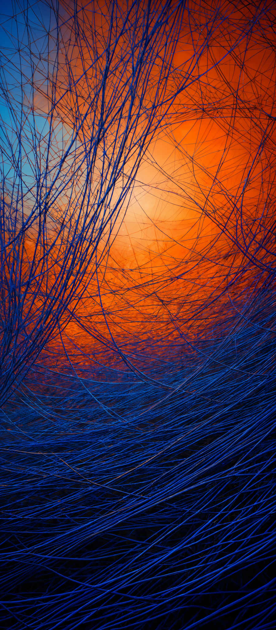 The image showcases a vibrant and intricate pattern of intertwined lines and tendrils. The dominant colors are deep blue and fiery orange, creating a stark contrast. The tendrills are thin and delicate, resembling strands of hair or thin threads. They weave and overlap in complex patterns, creating an almost organic and chaotic yet harmonious design. The background is dominated by the fiery hue of the orange, which gradually fades into the deep blue of the foreground, giving a sense of depth and dimension to the image, as if the tendrill patterns are emerging from a fiery horizon.