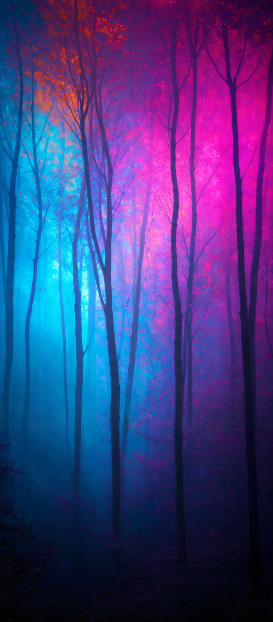 The image showcases a vibrant forest scene with tall, slender trees. The trees have a dark silhouette against a backdrop of a mesmerizing gradient of colors ranging from deep blues to fiery reds and pinks. The forest floor is covered with what appears to be fallen leaves, adding to the autumnal feel of the scene. The atmosphere is thick with mist, giving the forest a dreamy and ethereal quality.