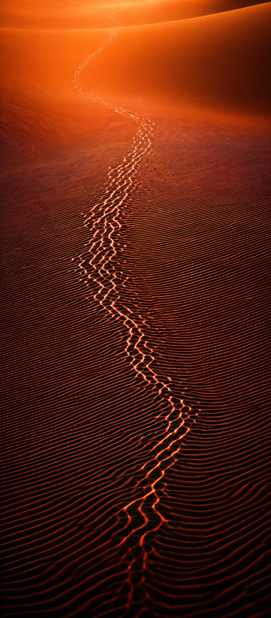 The image showcases a vast expanse of sand dunes with a rich, warm color palette dominated by shades of orange and brown. A prominent trail of footprints, illuminated by what appears to be the setting or rising sun, meanders through the dunes. The footprint trail is highlighted with a vibrant, glowing orange hue, contrasting beautifully with the darker sand patterns surrounding it. The overall scene evokes a sense of tranquility and the vastness of nature.