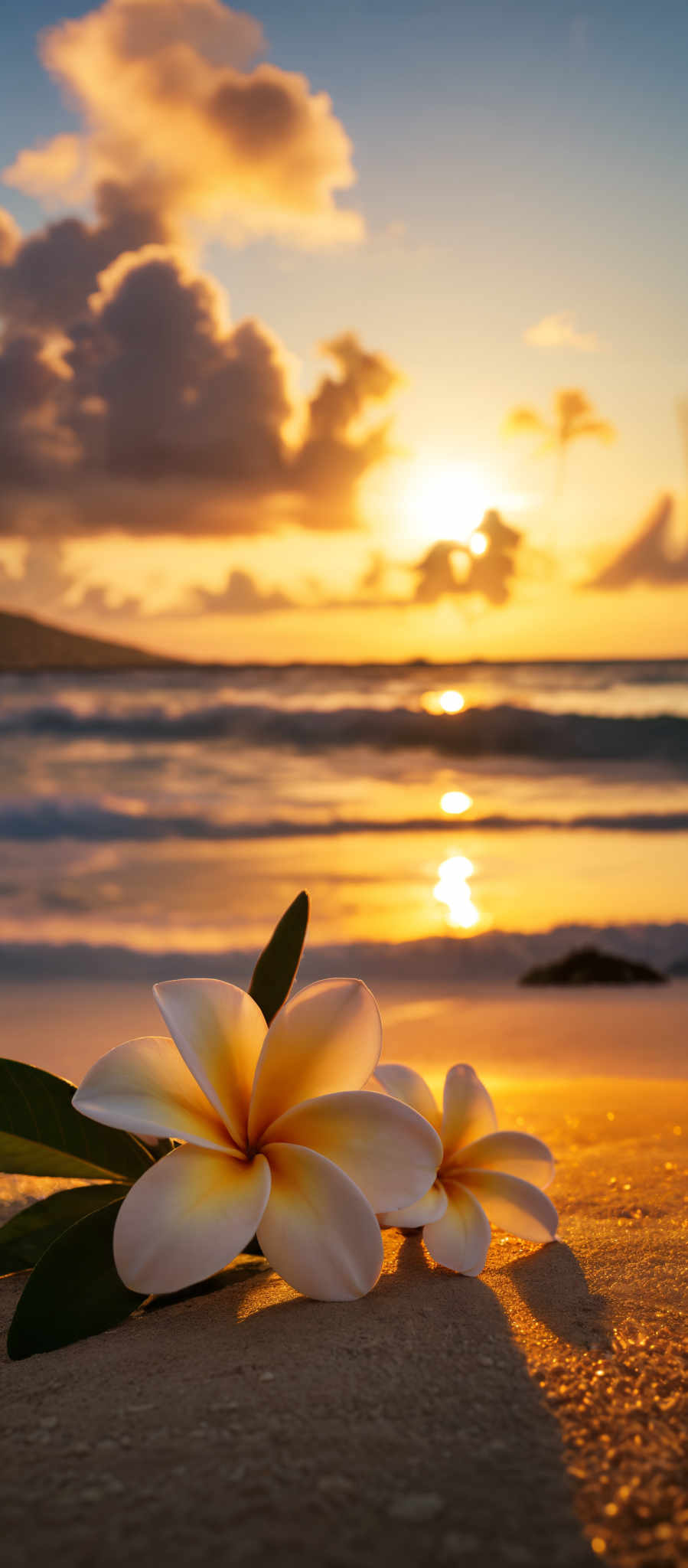 A beautiful sunset with a single white flower in the foreground.