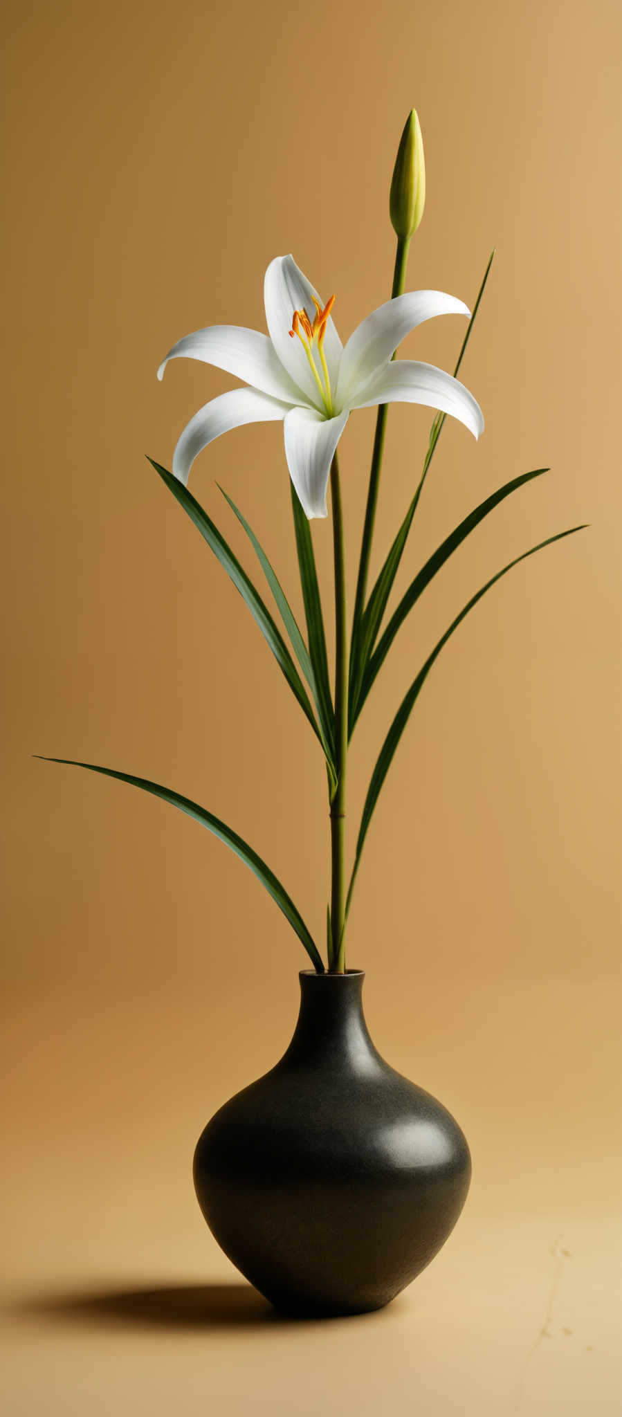 A white lily flower with green leaves in a black vase.