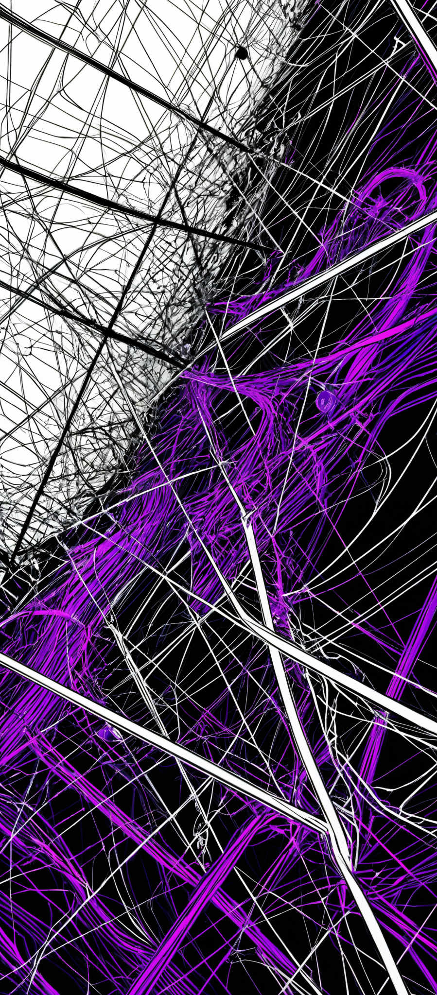 The image showcases a complex interplay of lines and shapes. The predominant colors are black, white, and purple. The lines are intricate, forming a web-like pattern with some intersecting and others crisscrossing. The purple lines add a vibrant contrast to the otherwise monochromatic image, creating a dynamic and energetic feel. The overall composition gives an impression of a chaotic yet harmonious interplay between different elements.