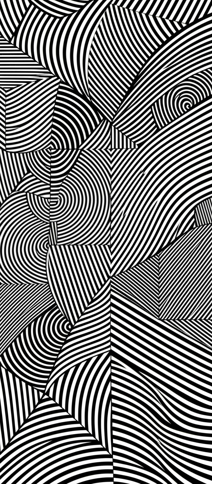 The image showcases a black and white abstract pattern. It features a myriad of curved lines, both straight and wavy, intertwining and overlapping in various directions. The lines create a complex maze of patterns, with some forming concentric circles, while others twist and turn in unpredictable manners. The overall effect is visually stimulating, with the interplay of lines creating a sense of movement and depth.