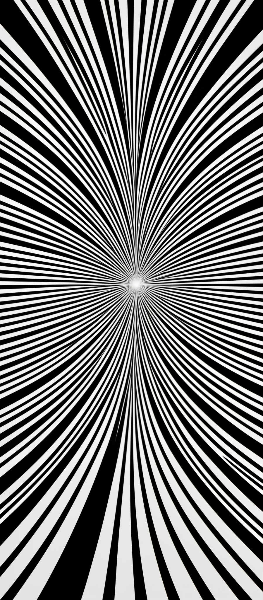 The image showcases a black and white optical illusion. It features radial lines converging towards a central point, creating an effect of depth and perspective. The lines are evenly spaced and radiate outwards from the center, creating a hypnotic effect. The image is symmetrical, with the lines appearing to pull the viewer's eye towards the center.