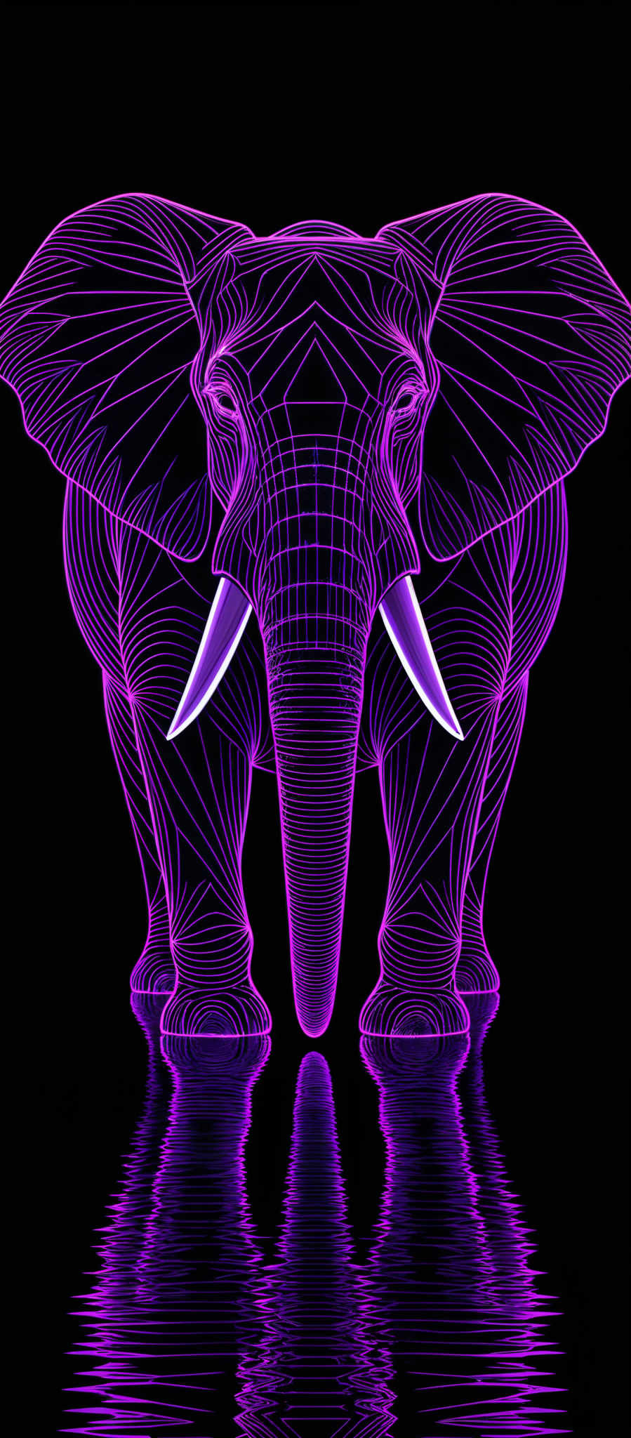 The image showcases a vibrant and intricate design of an elephant. The elephants are depicted in a neon-like glow, predominantly in shades of purple and pink. The design is symmetrical, with detailed patterns and lines that give the elephantine figure a modern and abstract appearance. The reflection of the elePHANT is visible in the water below, creating a mirror effect.