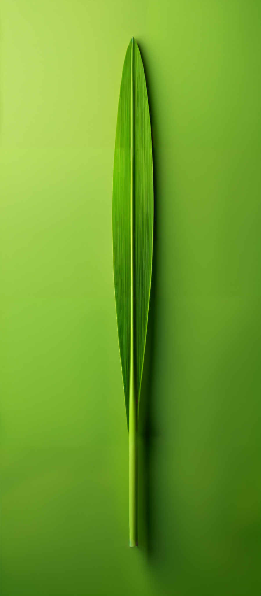 The image showcases a vibrant green leaf with a slender elongated shape. The leaf has a central vein running vertically through its center, and its surface displays a pattern of linear veins branching out from the central veins. The stem or stalk of the leaf is also green and appears to be straight. The background is a gradient of varying shades of green, creating a harmonious and natural ambiance.