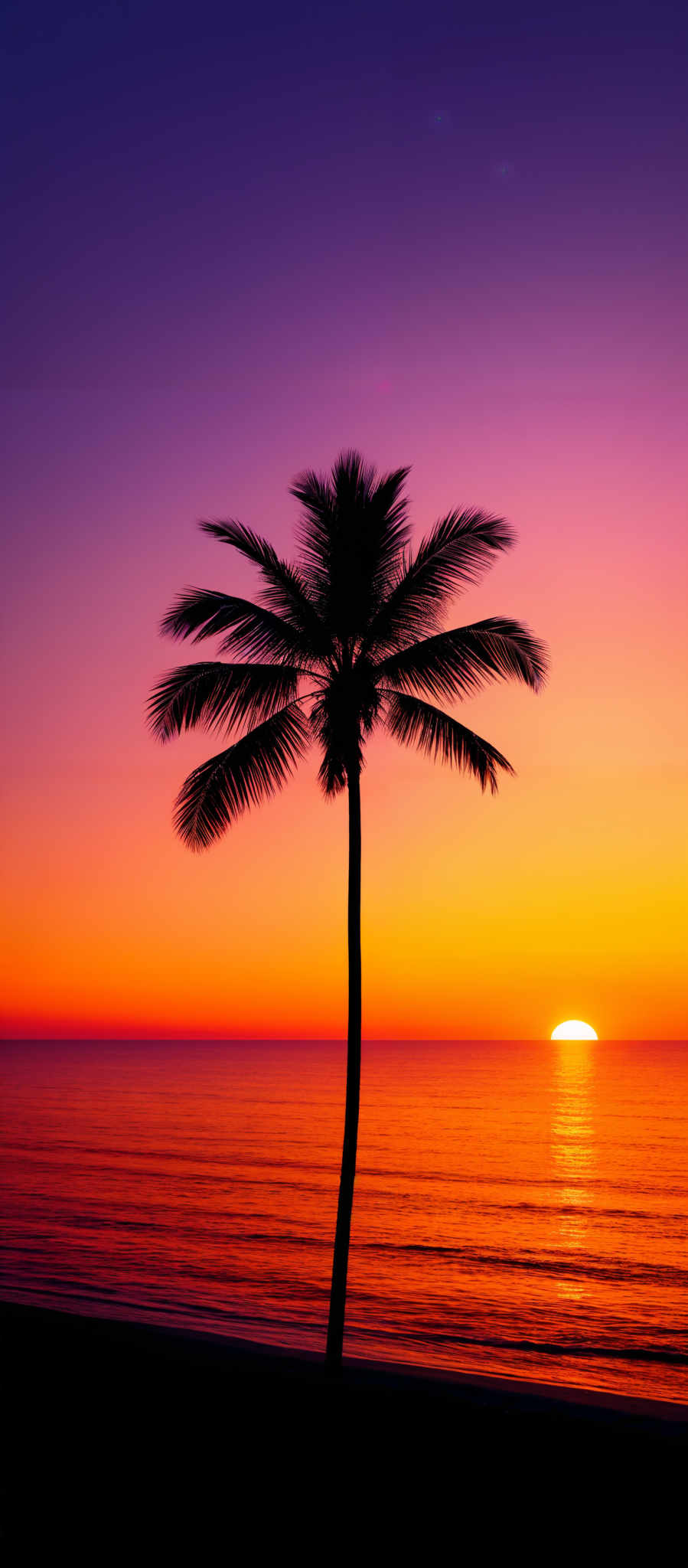 The image showcases a vibrant sunset over a calm sea. The sky is painted in hues of purple, pink, and orange, transitioning smoothly from one color to another. The sun is near the horizon, casting a golden glow over the water. In the foreground, there's a silhouette of a palm tree, standing tall and leaning slightly to one side. The tree's fronds are detailed, showing the individual leaves. The beach is visible at the bottom, with gentle waves lapping at the shore.