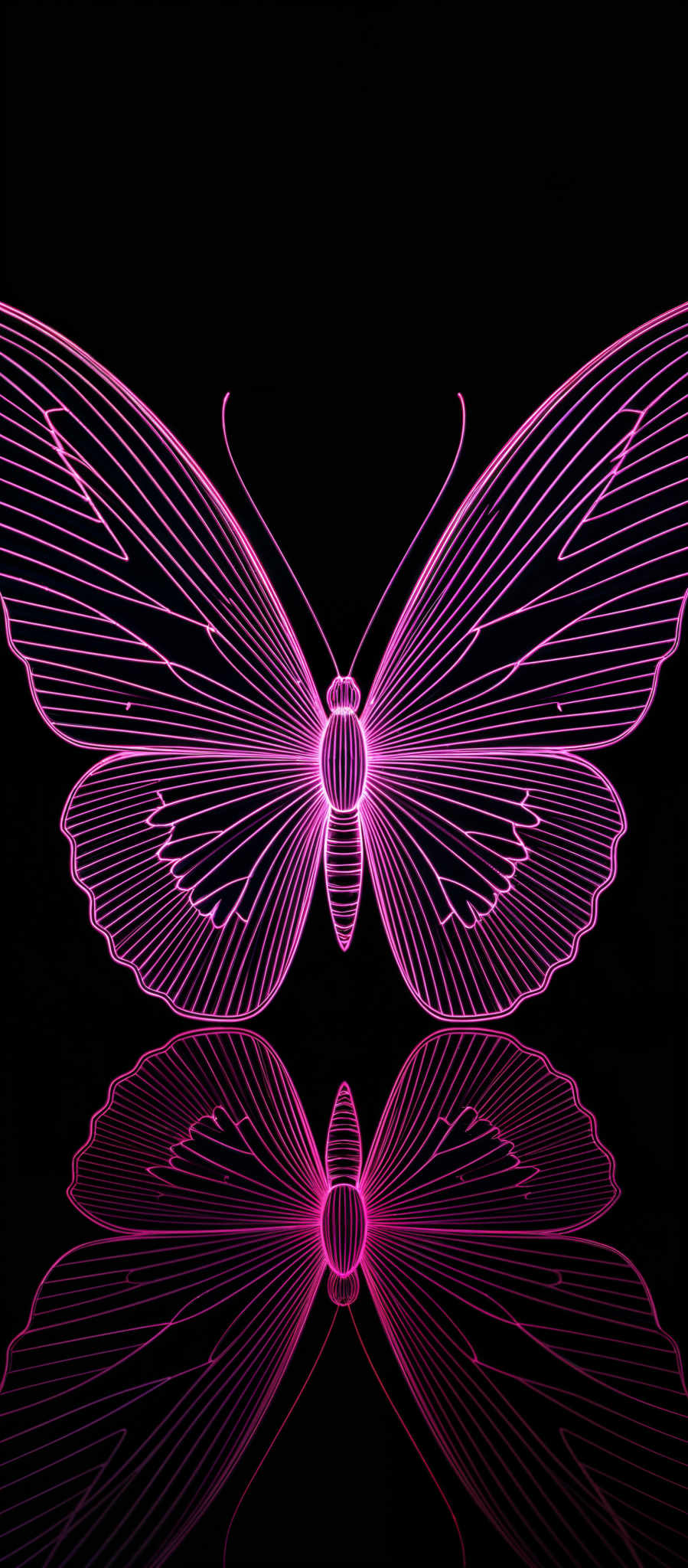 The image showcases a vibrant neon pink butterfly against a black background. The butterflies wings are intricately detailed with linear patterns, and it appears to be reflected on a shiny surface below, creating a mirror image. The overall design is symmetrical, with the butterflly's body positioned centrally.