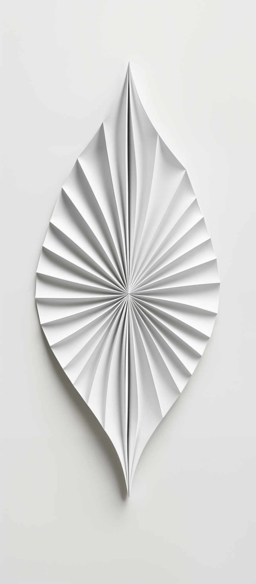 The image showcases a white, abstract shape that resembles a fan or a radial pattern. The shape is symmetrical, with a central point from which radial lines emanate outward, creating a pleated or accordion-like appearance. The overall effect is reminiscent of a fan, with the white color giving it a clean and minimalist look.