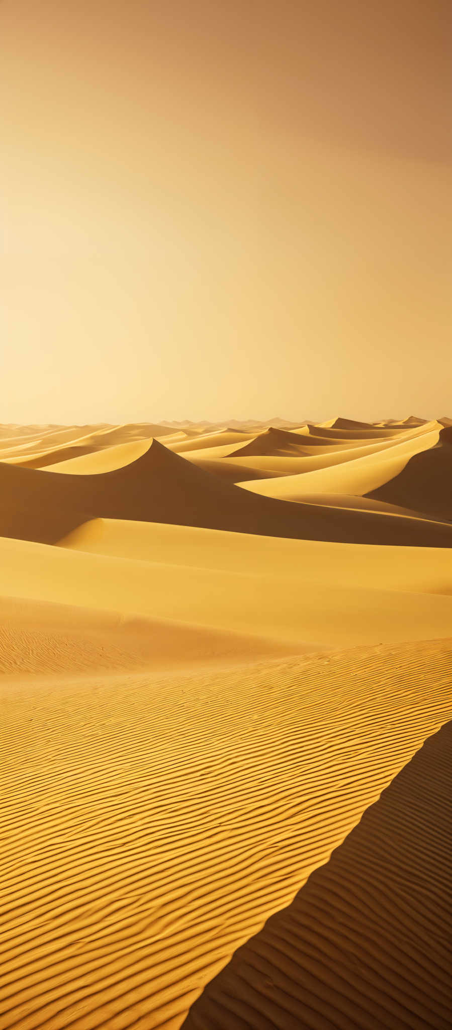 The image showcases a vast expanse of sand dunes under a clear sky. The dunes are characterized by their undulating shapes, with gentle curves and ridges. The color palette is dominated by warm hues of golden yellow and soft beige, reflecting the sunlight. The texture of the sand is evident, with ripples and patterns formed by the wind. The horizon shows a distant view of more dunes, and the sky above is a gradient of light orange, suggesting either sunrise or sunset.