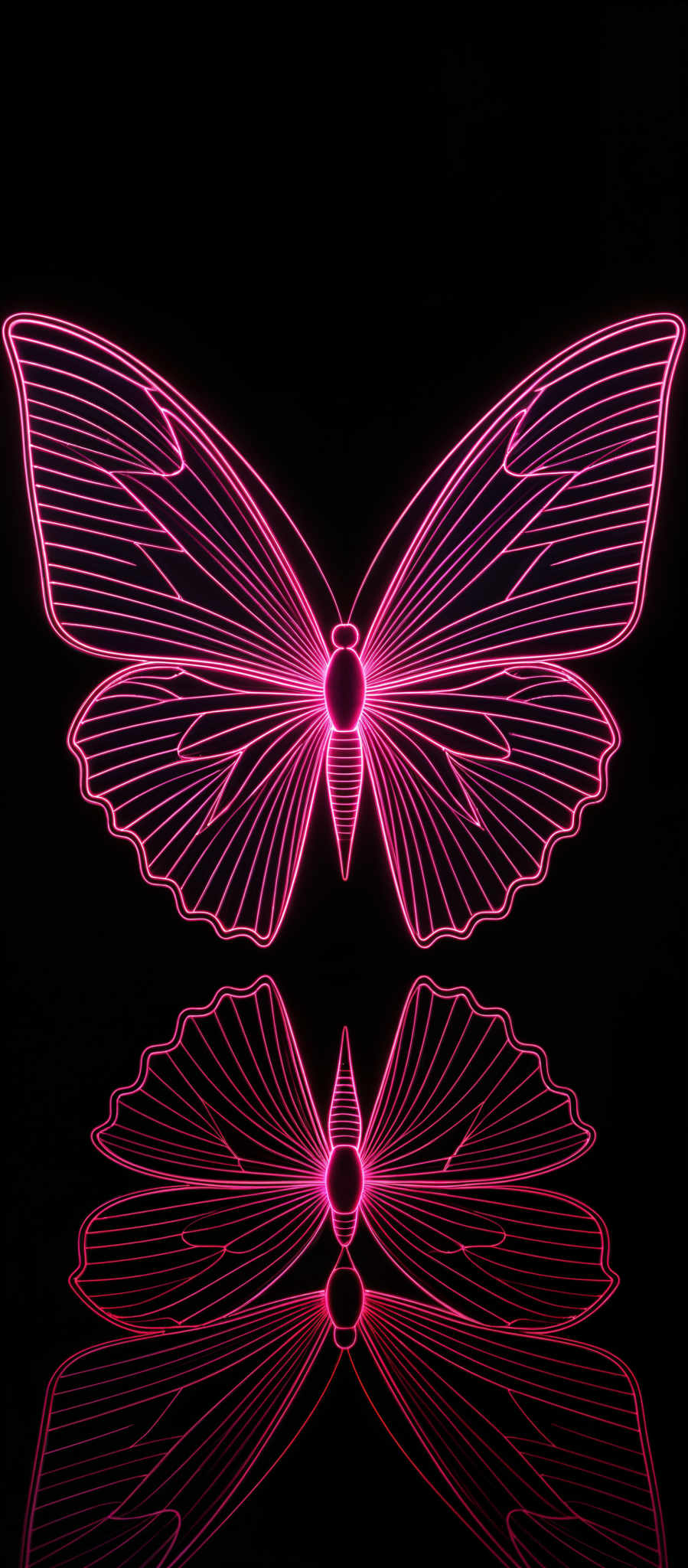 The image showcases a vibrant neon pink butterfly against a black background. The butterflies wings are intricately detailed with linear patterns, and it appears to be reflected on a mirrored surface below, creating a symmetrical visual effect.