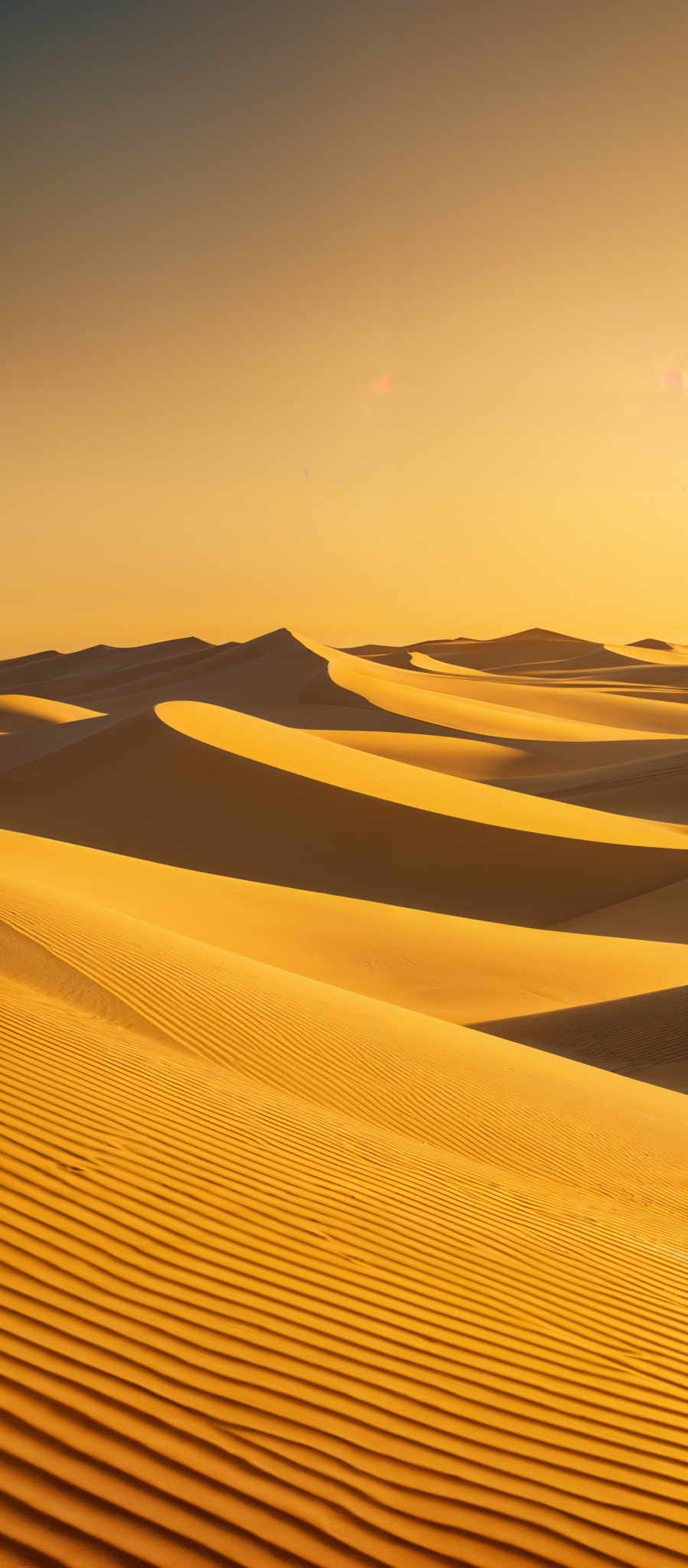 The image showcases a vast expanse of sand dunes under a clear sky. The dunes are characterized by their undulating shapes, with gentle curves and ridges. The color palette is dominated by warm hues of golden yellow and soft orange, reflecting the sunlight. The shadows cast by the dunes add depth and contrast to the scene, highlighting the play of light and shadow on the sand's surface.