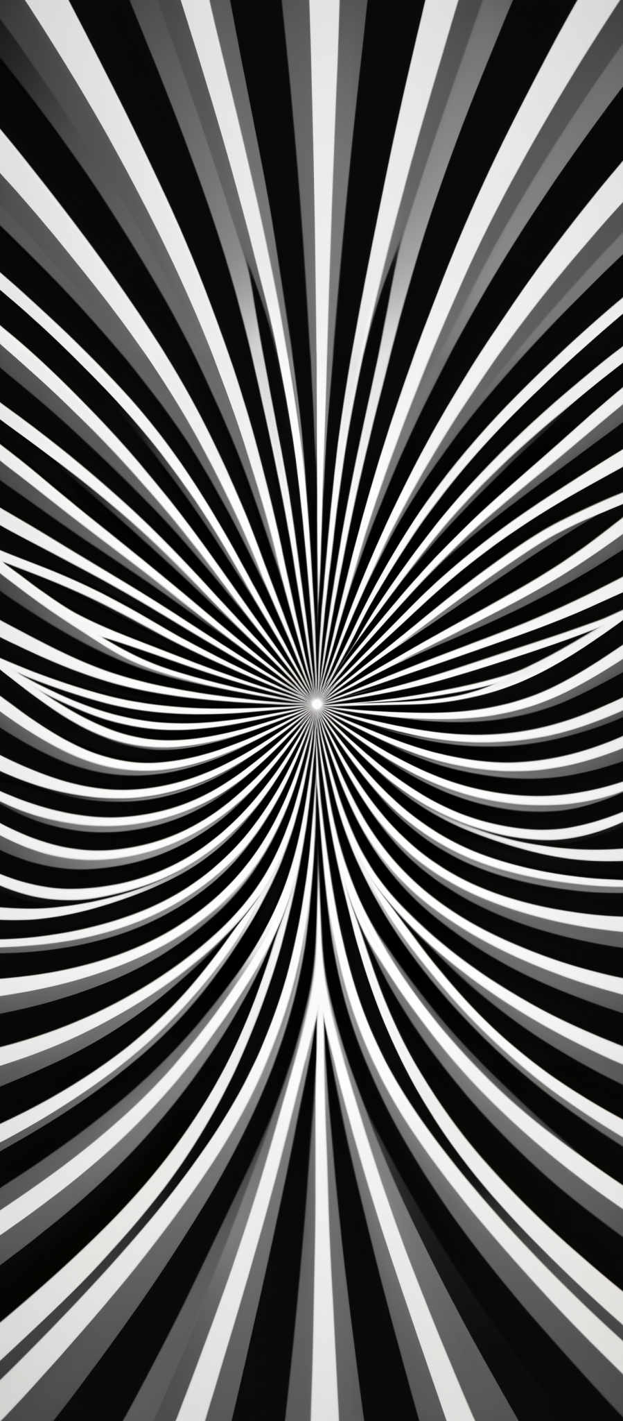 The image showcases a black and white optical illusion. It features radial lines converging towards a central point, creating a hypnotic effect. The lines radiate outwards from the center in a symmetrical manner, with the alternating black and light stripes creating a sense of depth and movement.