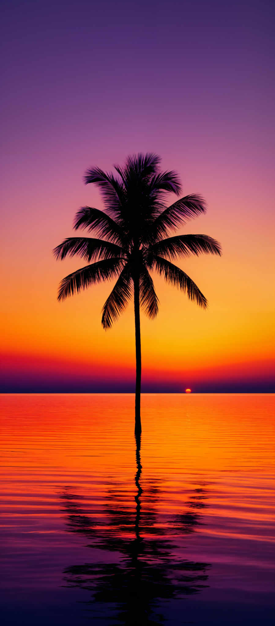 The image showcases a vibrant sunset with hues of purple, orange, and yellow. Dominating the center is a solitary palm tree with its fronds swaying, standing tall against the backdrop of the setting sun. The sun casts a warm glow, reflecting off the calm waters below, creating a mirror-like effect. The horizon is clearly demarcated, with the sun setting just above it.