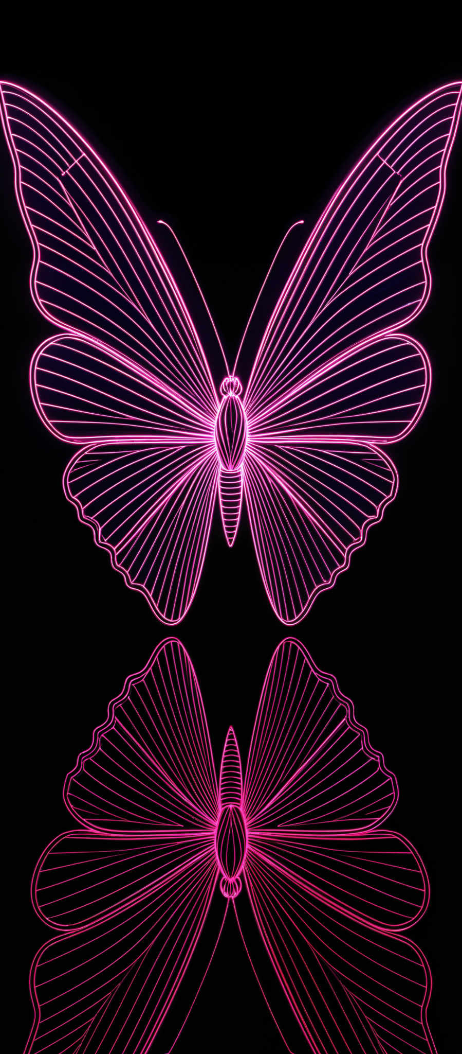 The image showcases a vibrant neon pink butterfly against a black background. The butterflies are symmetrically positioned, with their wings spread out. The wings have intricate linear patterns, and the butterfers are reflected below, creating a mirror image. The overall design is minimalistic, emphasizing the butters' wings and the contrast between the neon color and the dark background.