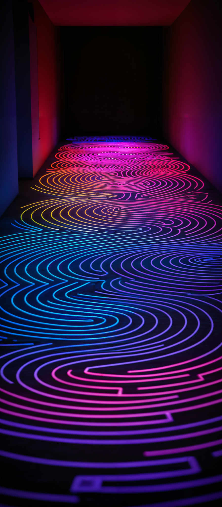 The image showcases a vibrant and mesmerizing pattern of swirling lines in a spectrum of colors. The dominant colors are neon shades of blue, pink, and purple, which create a visually striking contrast against a dark background. The swirled patterns are intricate, resembling a combination of abstract art and modern design. The lines are curved and intertwine, creating a sense of depth and movement. The entire scene is bathed in a neon glow, giving it a futuristic and otherworldly ambiance.