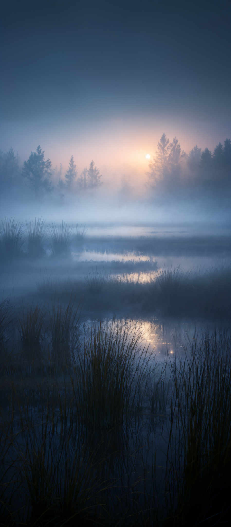 The image showcases a serene landscape during what appears to be dawn or dusk. The dominant colors are shades of blue, gray, and gold. The sky is a gradient of deep blue transitioning to a lighter hue near the horizon, where the sun is partially obscured by mist. The sun casts a golden glow, illuminating the mist and reflecting off the water below. In the foreground, there are tall grasses or reeds that are dark in color, contrasting with the misty background. The water body reflects the sky and the sun, adding depth to the scene. In addition, there's a silhouette of a tree line in the distance, further enhancing the tranquil ambiance of the image, with the trees appearing as dark silhouettes against the mist.