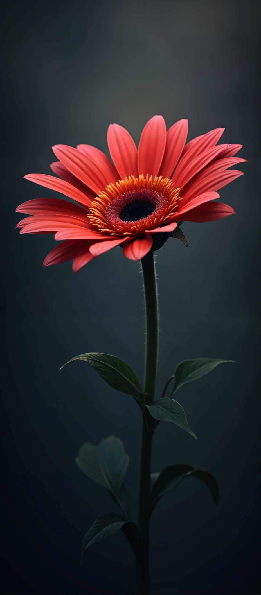 A vibrant red flower with a yellow center is the main focus of this image.