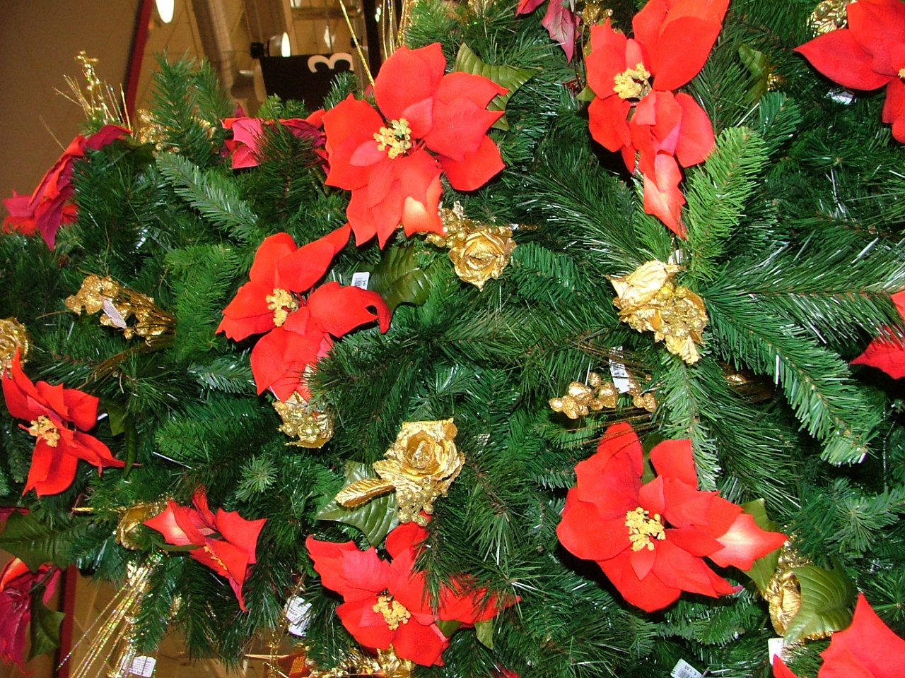 Racconto La Stella Di Natale.Racconti Sotto L Albero In Libreria Piana Notizie