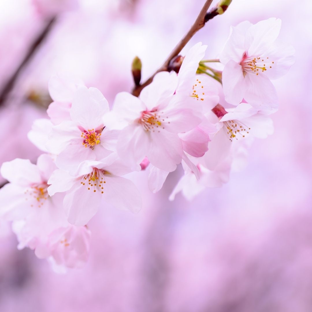 �������ե�����