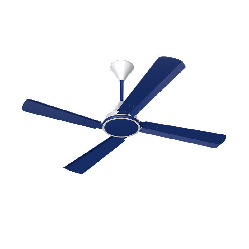 Conion Signature 56 Inch 4 Blades Ceiling Fan