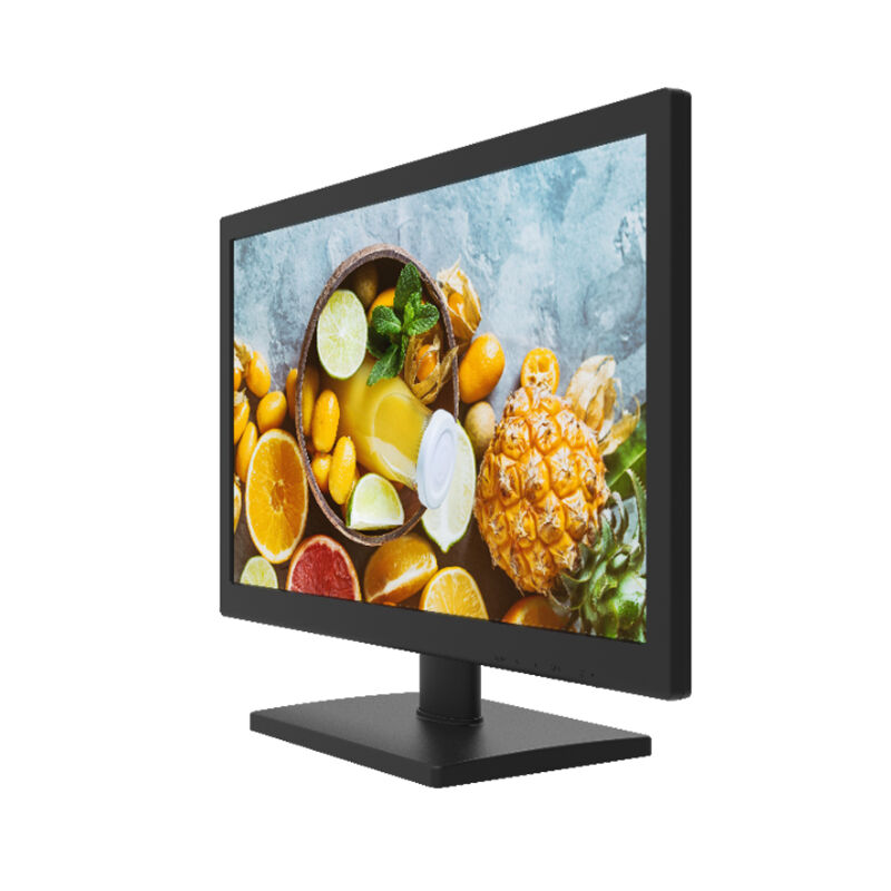 Hikvision DS-D5019QE-B 19'' HD LED Backlight Monitor (HDMI)