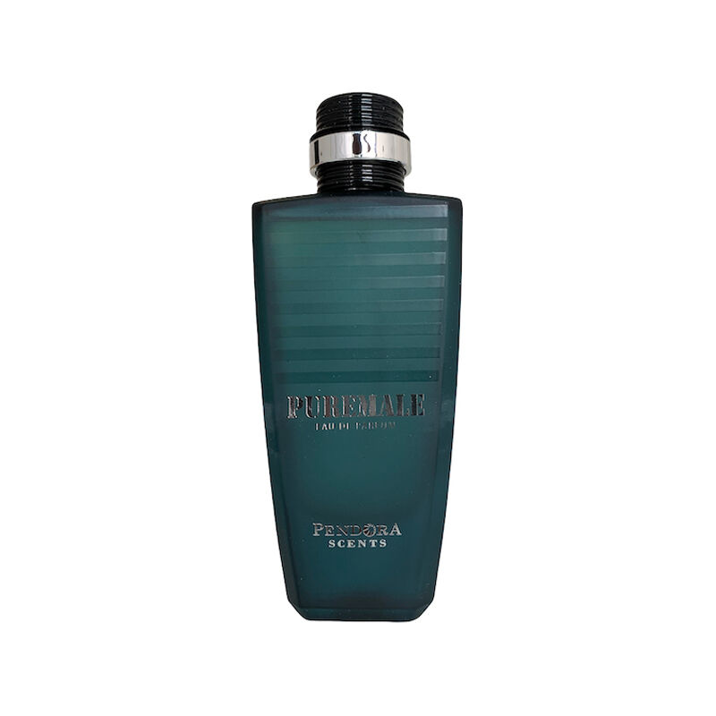 Paris Corner Puremale EDP 100ml for Men