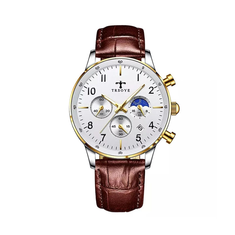 Trsoye 668 Moon Phase Chronograph Men’s Watch - Brown Silver