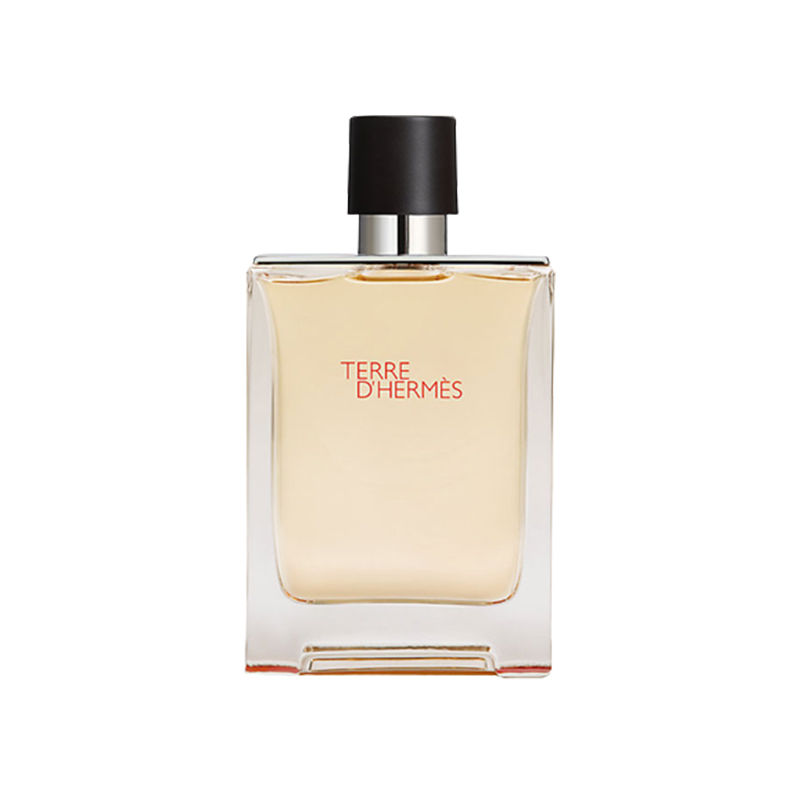 Hermes Terre D'hermes EDT 100ML for Men