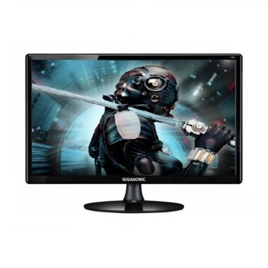 Gigasonic RB-G19S-300C 19 Inch HD LED Monitor 