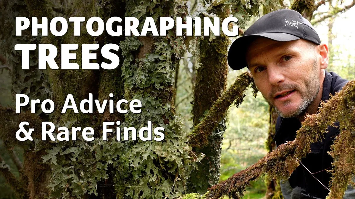 Simon Baxter YouTube channel