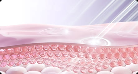 Collagen Regeneration