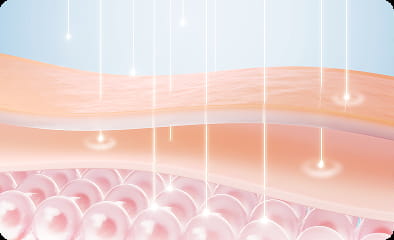 Regeneration & Repair