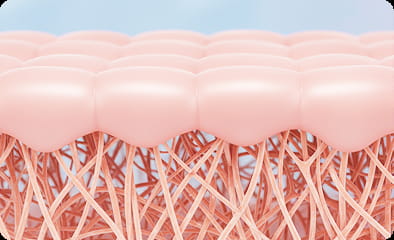 PN (polynucleotide) activates natural healing, improving skin texture, firmness, and glow.