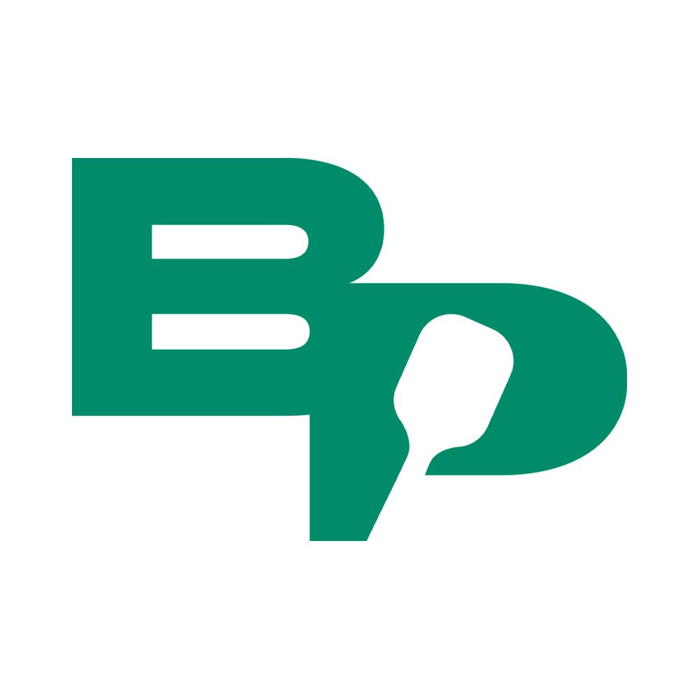 Boca Paddle by CityPickle logo