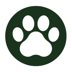 Snazzydot Outfitters logo