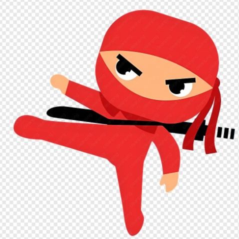Digital-Ninja logo