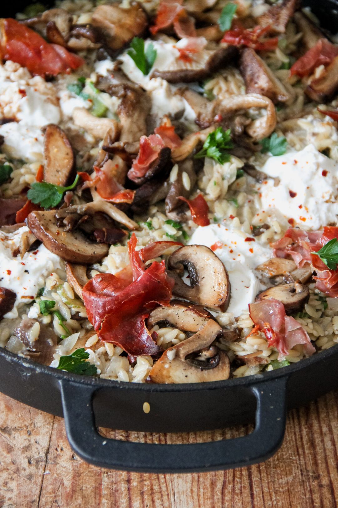 Orzotto with mushrooms & burrata