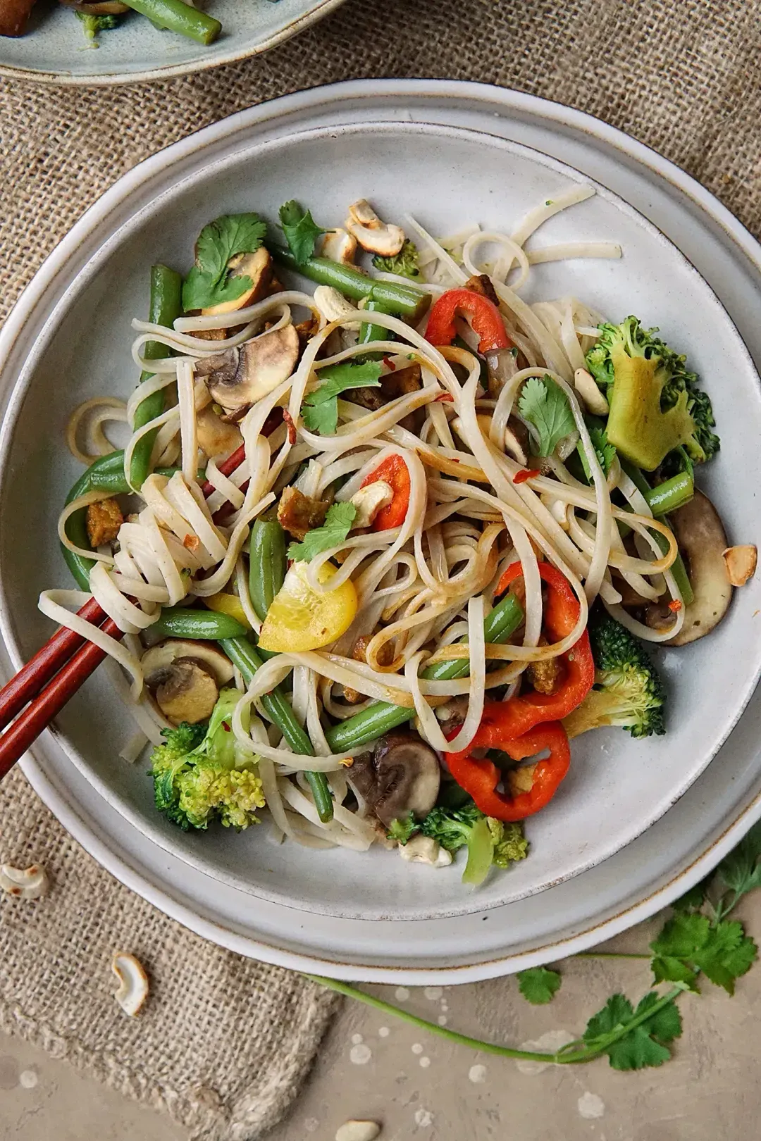 Vegetarian noodles with lots of vegetables