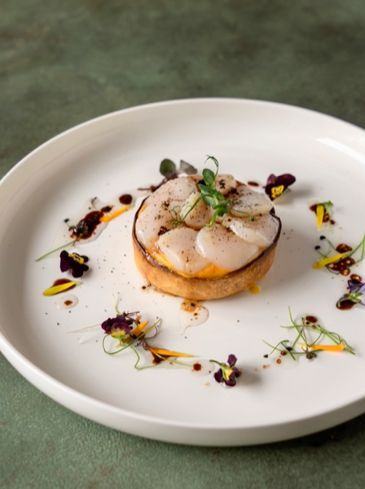 Pumpkin pie with scallop carpaccio with truffle vinaigrette