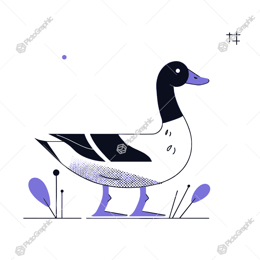 The image shows a black and white duck standing in the grass surrounded by purple flowers. The duck has a white body with black wings and a black head. The background is a bright white, and the flowers are a vibrant purple. The image shows a black and white duck standing in the grass surrounded by purple flowers. The duck has a white body with black wings and a black head. The background is a bright white, and the flowers are a vibrant purple.