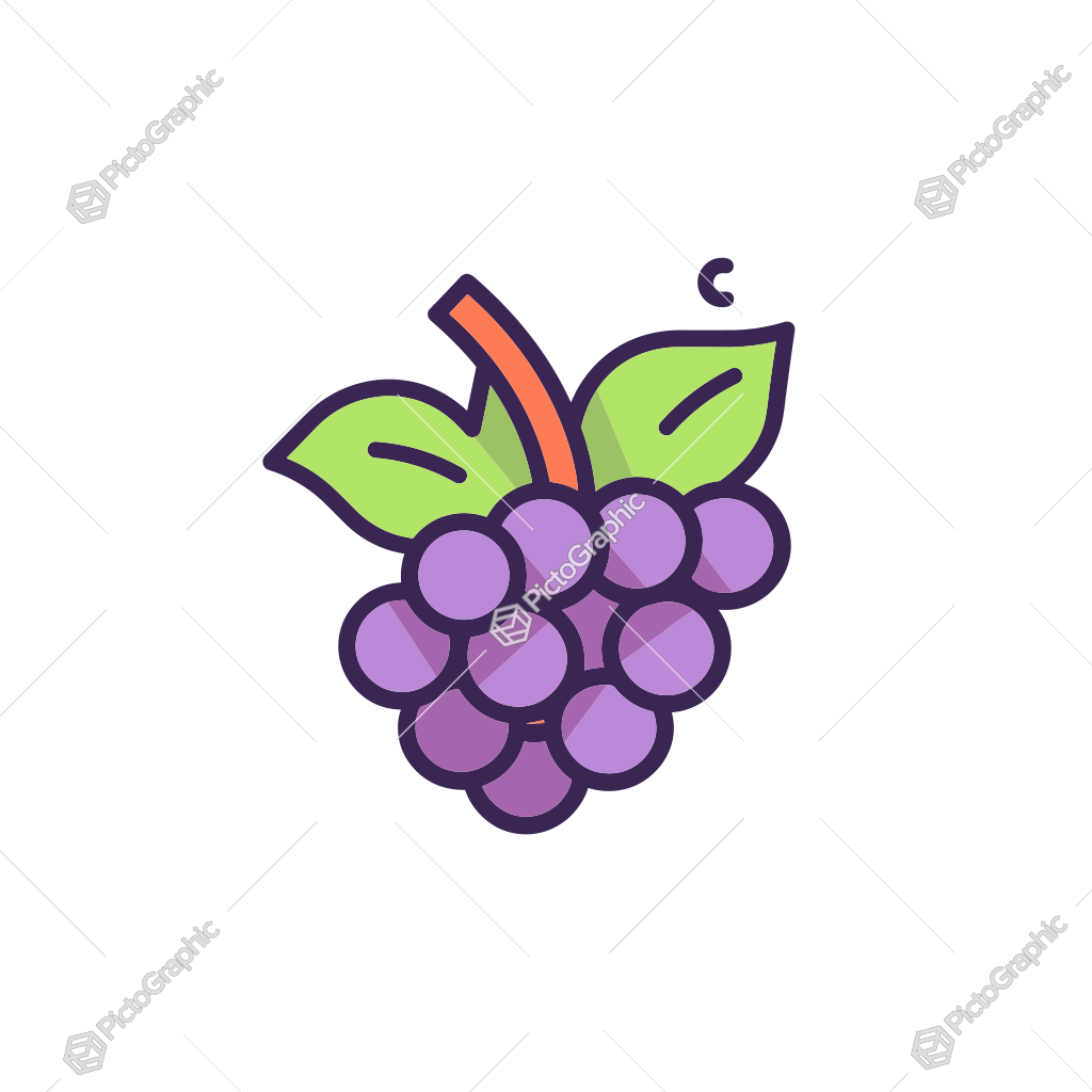 Illustration of a bunch of purple grapes with green leaves.